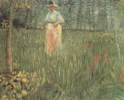Vincent Van Gogh A Woman Walking in a Garden (nn04) Norge oil painting art